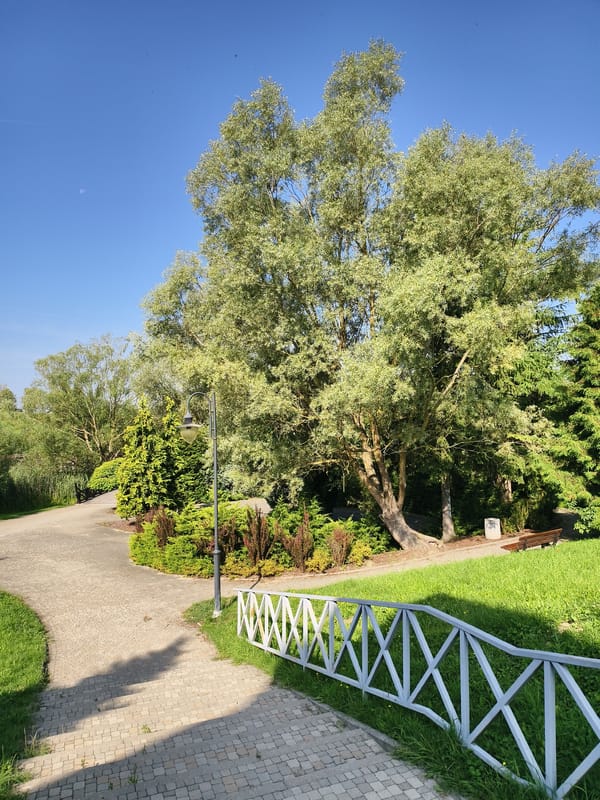 Peaceful park paths and a wooden bridge in Sztum, Poland