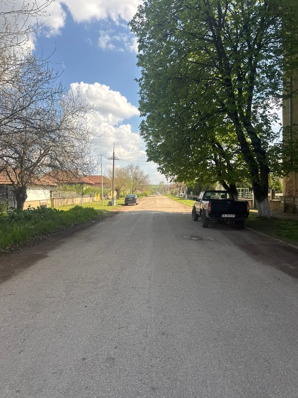 Black pickup truck parked under tree in Lehchevo