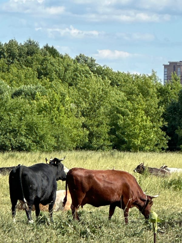 Dubrovitsy, Russia