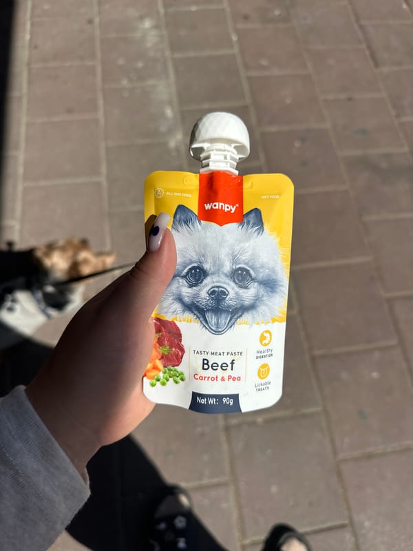 Dog walker feeds Yorkshire Terrier on Ramat Gan sidewalk