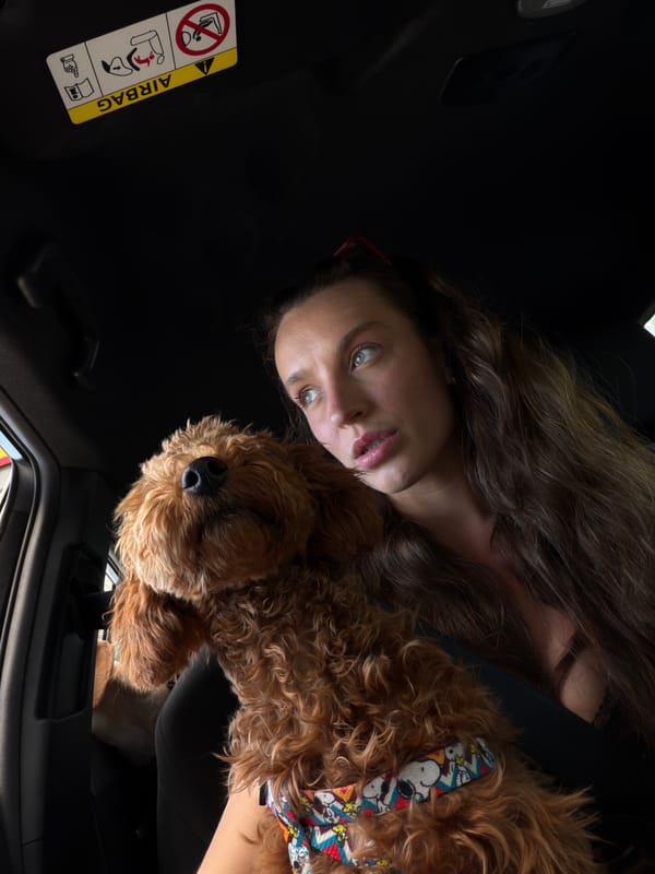 Woman and dog spotted in car in Drobnići