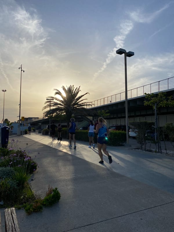 Valencia's marina and beachfront at golden hour