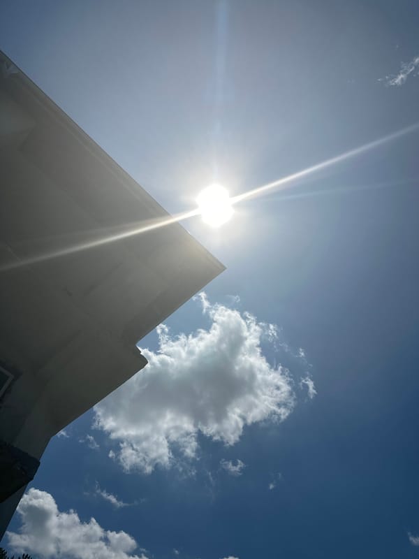 Morning life documented across Asenovgrad, Bulgaria in summer 2026