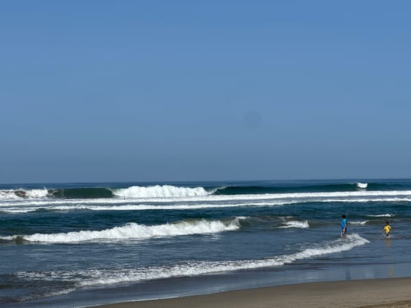 Clear afternoon at Acapulco beach with swimmers, palms