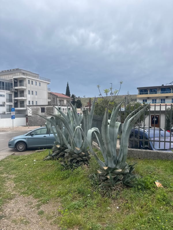 Street scenes documented in Sutomore, Montenegro