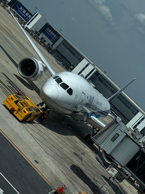 ANA 787 at Hangzhou Xiaoshan, terminal life in between