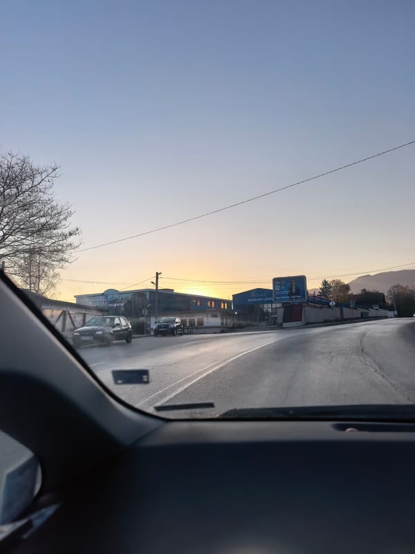 Early morning drive captures sunrise scenes and urban wildlife