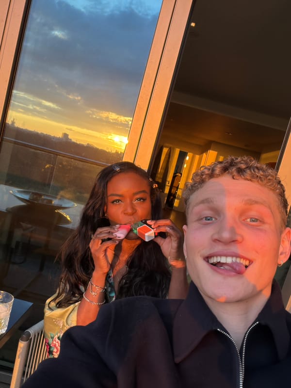 Person takes selfie from elevated London viewpoint at sunset