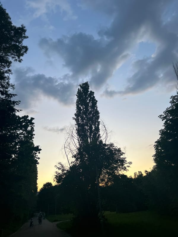 Afternoon scenes documented across Sofia during changing weather