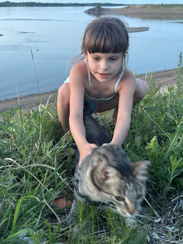 Tabby cat by the lake at golden hour, Мичуринское