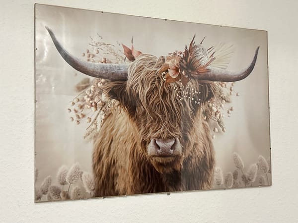 Evening indoor scenes with Egyptian figurines and Highland cattle art