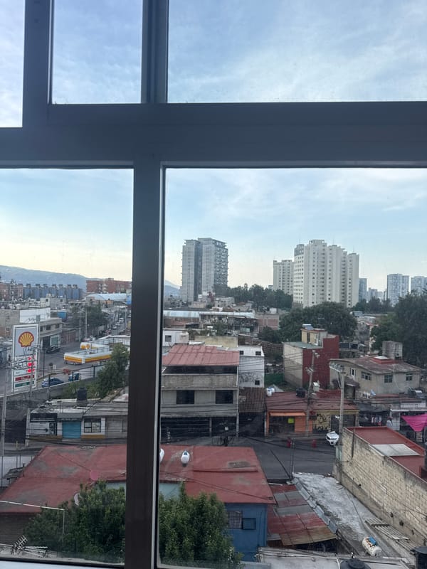 Late night indoor documentation captures window views, plush toy