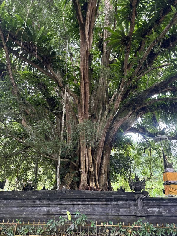 Tourists visit traditional Balinese temple grounds in Tampaksiring