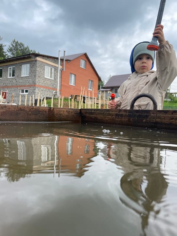 Rural domestic life documented through child, cat, garden scenes