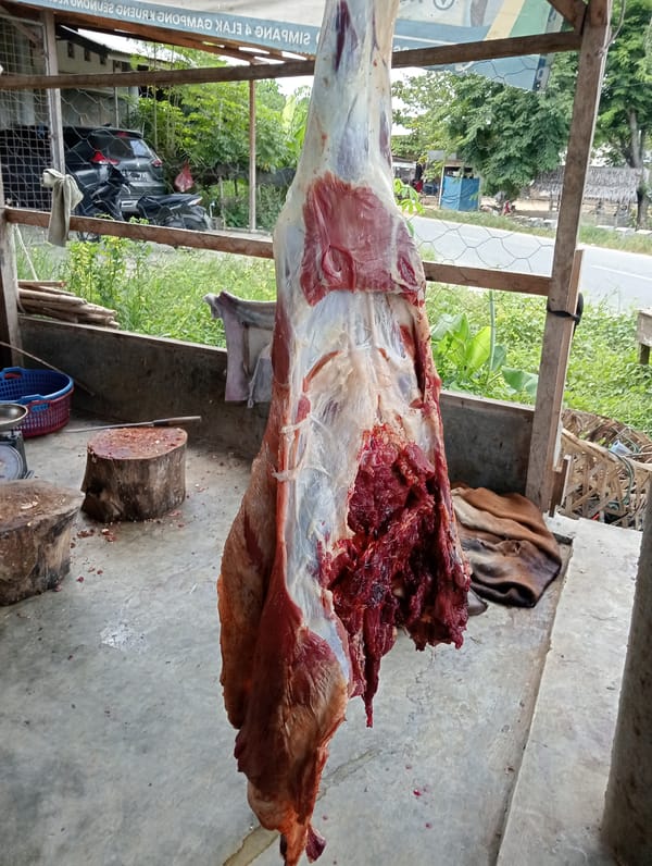 Fresh butchered carcass hangs at roadside meat stall in Lhokseumawe
