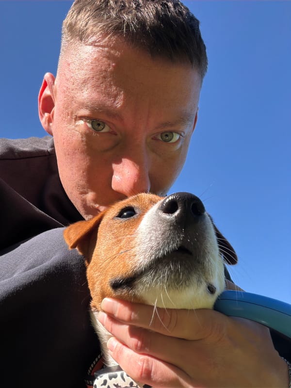 Morning park walk with a Jack Russell Terrier in Moscow