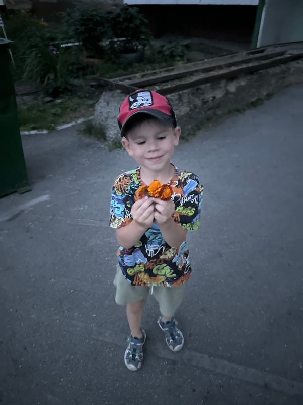 Summer day turns to night in Novoaltaysk's residential streets