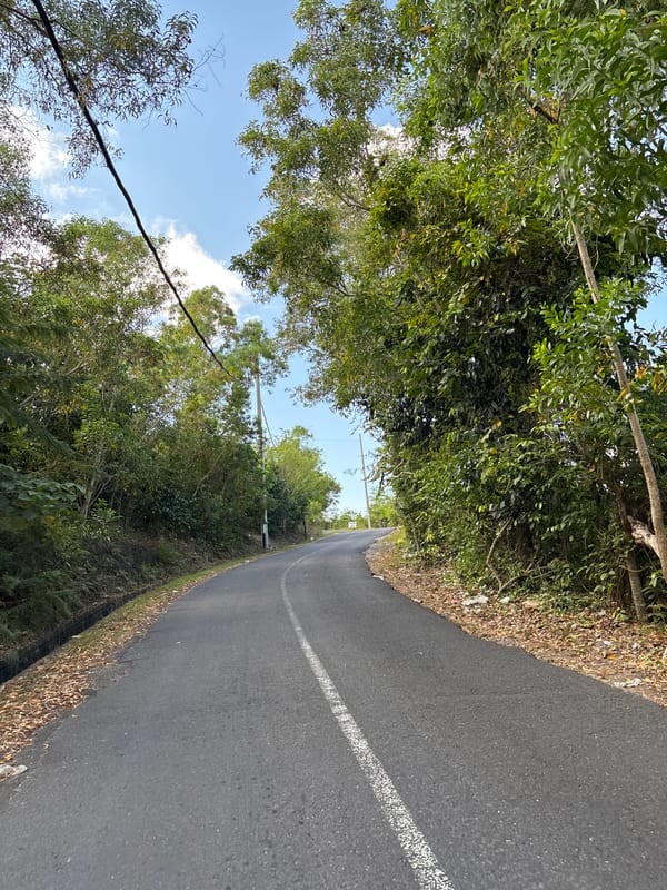 Tropical road journey documented through Kuta Selatan, Indonesia