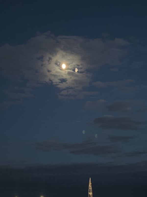 Twilight selfie and moonlit sky captured in Saint Petersburg