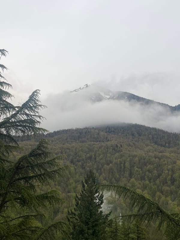 Witness captures fog-shrouded mountain landscape in brief documentation sequence
