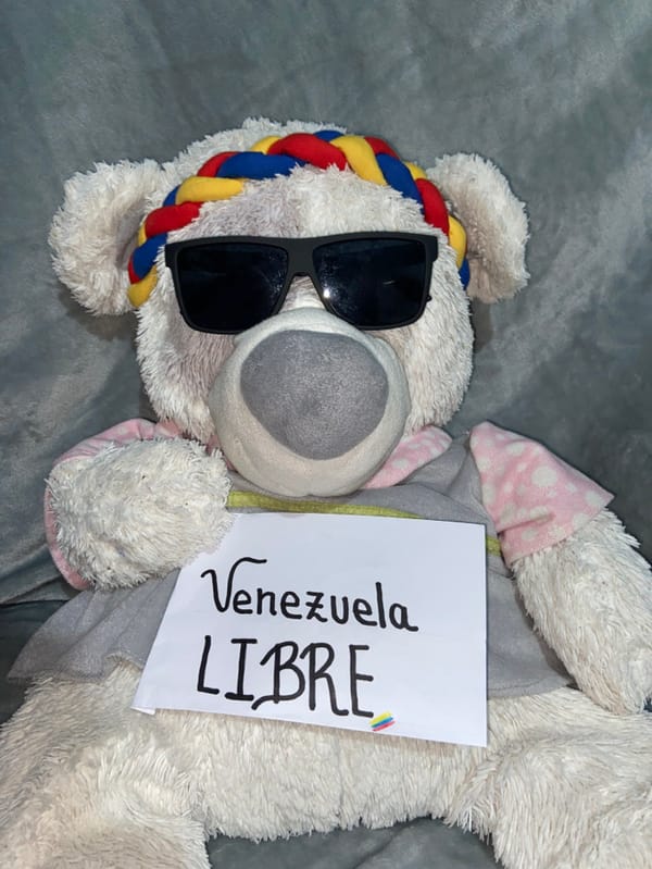 Venezuelan patriotic displays documented in Juan Griego overnight