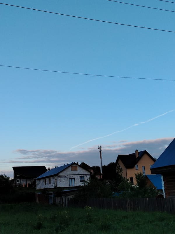 Evening stroll documented through selfies and nature photos in Noviy