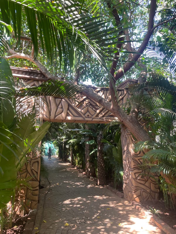 Morning scenes captured across tropical Goan villages