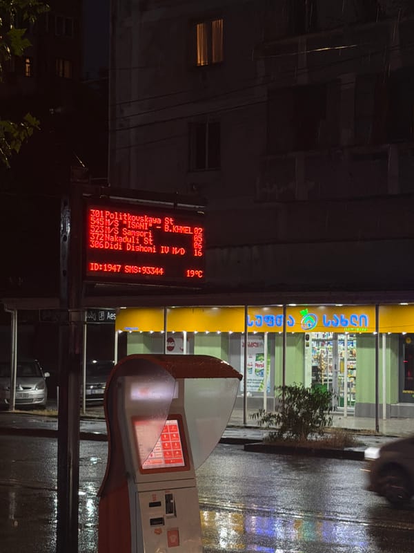 Rainy night out in Tbilisi, bus stops and selfies
