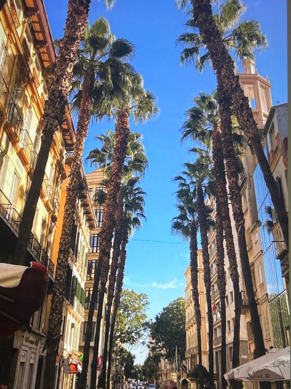 Málaga coastal scenes documented in sunny afternoon photography session