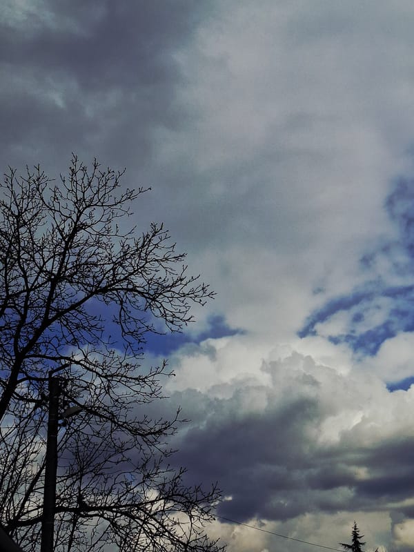 Spring garden blooms and cloudy skies documented in brief sequence