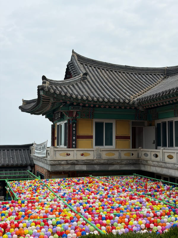 Buddhist temple tour documented across multiple Busan sites