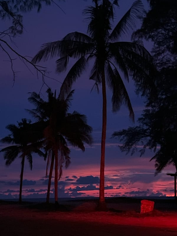Pulling over for a tropical sunset, then back on the road