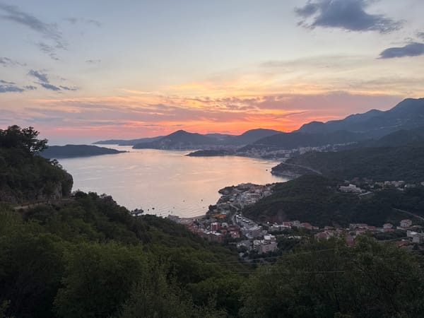 Sunset coast, garden blooms, and ants — a Mediterranean evening in detail