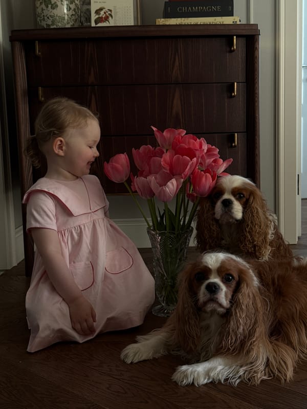 Moscow resident captures quiet domestic moments with pets and flowers