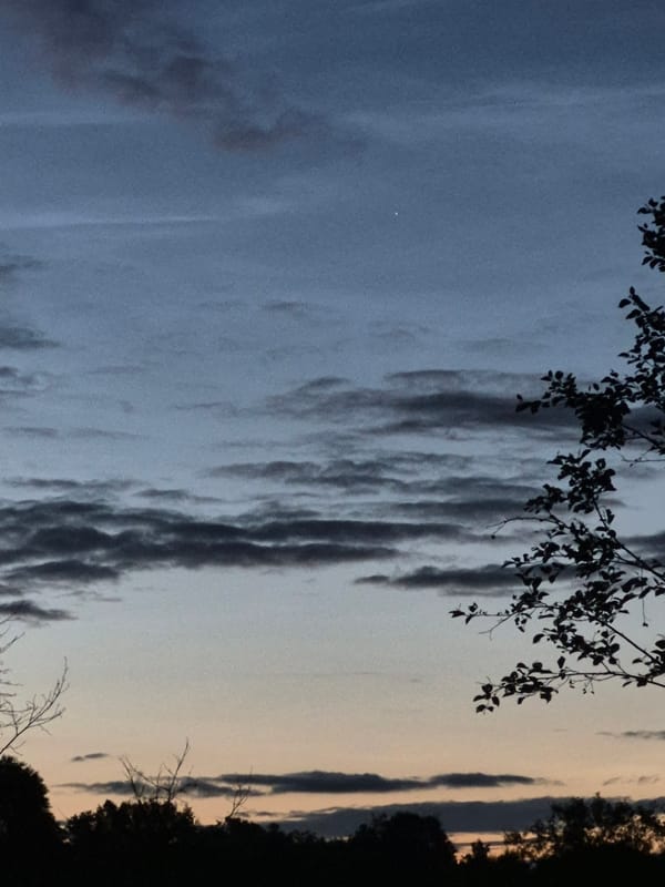 Summer dusk settles over the forests of Sooblase, Estonia