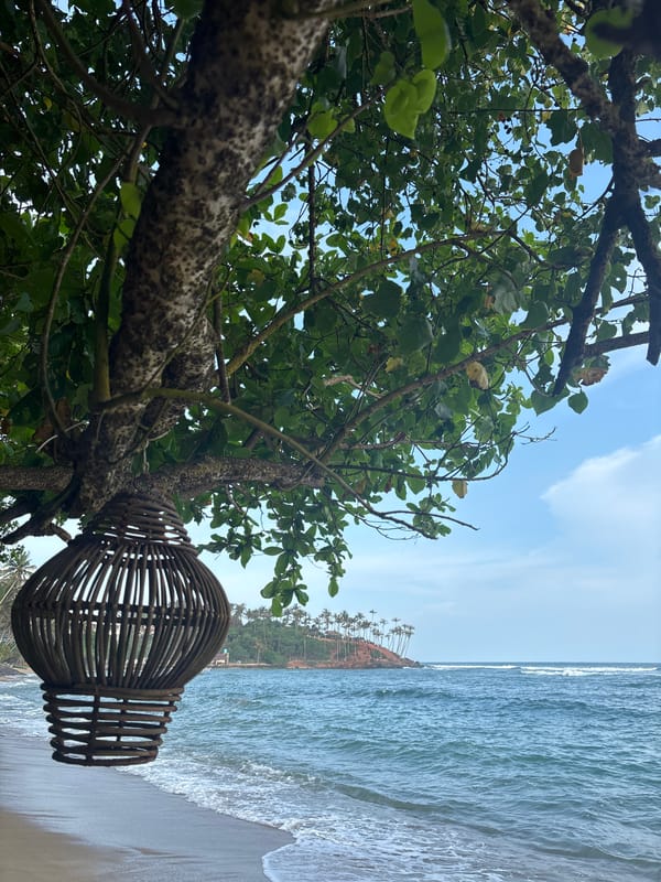 Coastal scenes documented in Thalaramba, Sri Lanka featuring boats and vegetation