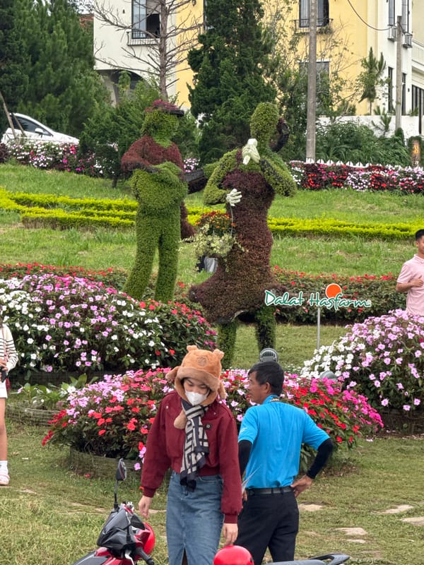 Morning activity along Da Lat's flower-lined lakeside streets