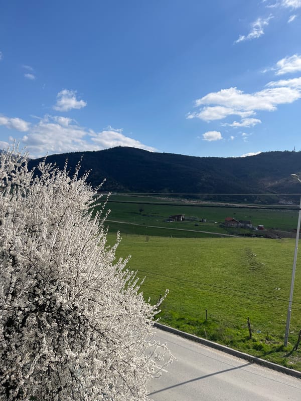 Spring morning landscape documented in Velingrad, Bulgaria