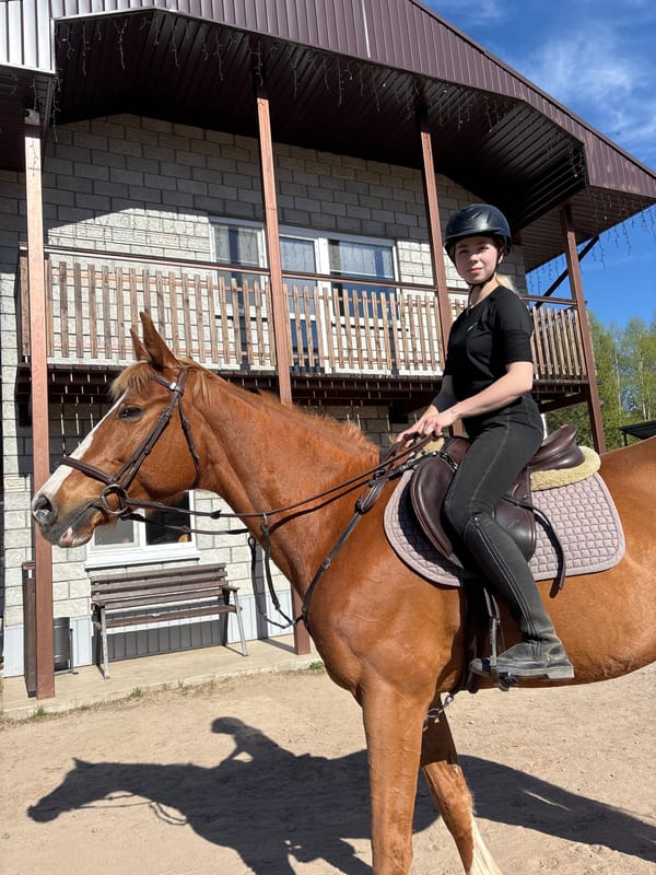 Horse and rider spotted in Русский Вожой, Russia