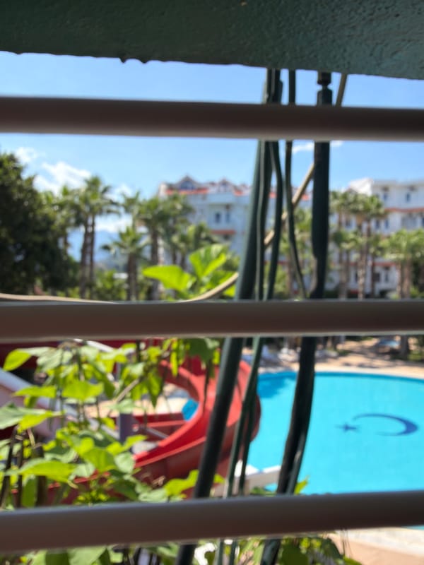 Pool and bougainvillea glimpsed through bars and leaves