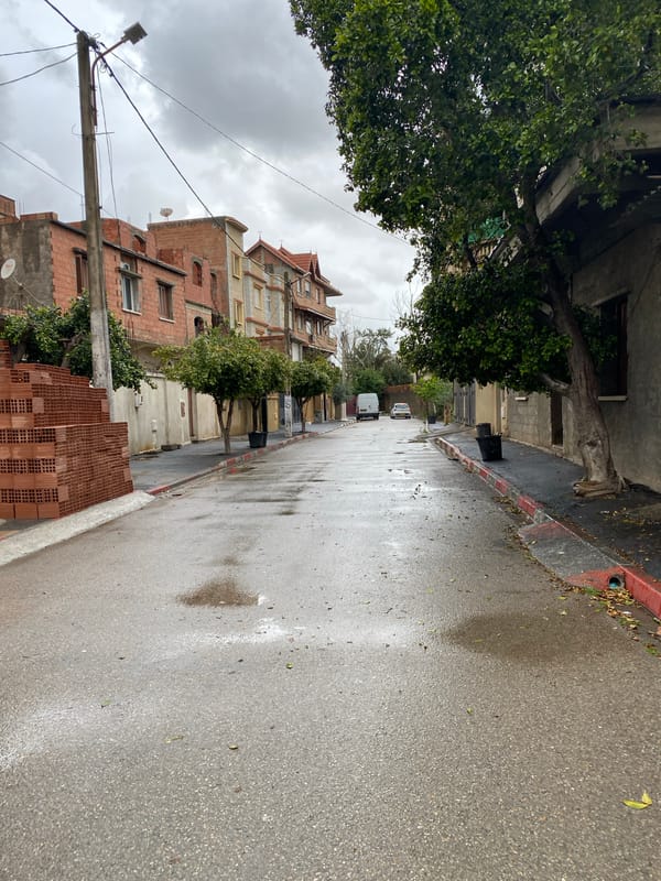 Wet street scene captured in Baraki, Algeria