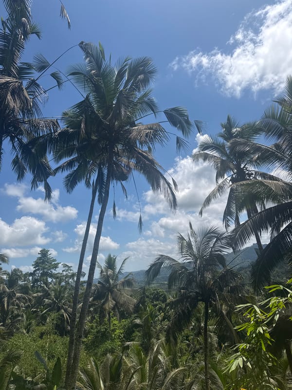 Tourist visits Gembleng Waterfall in Sidemen, Indonesia
