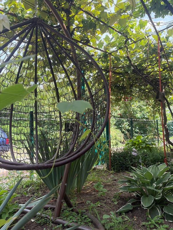 Lazy summer afternoon at a Bulgarian garden home