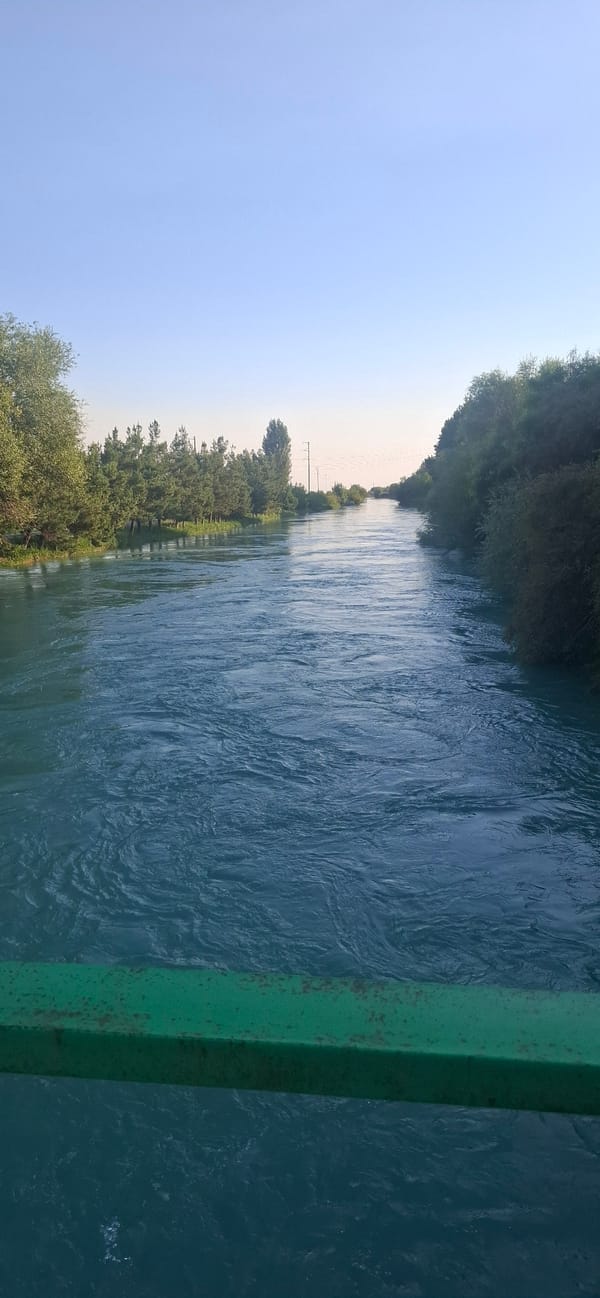 Bridge views over a wide, turquoise river lined with trees