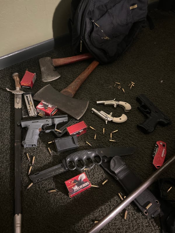 Weapons collection documented on surface in Cape Coral, Florida