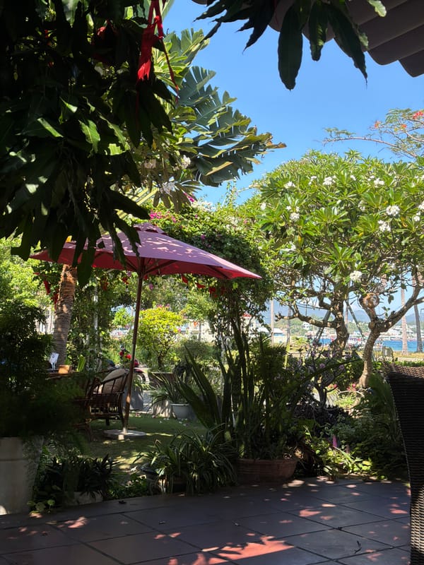 Tropical garden captured in Nam Nha Trang Ward, Vietnam