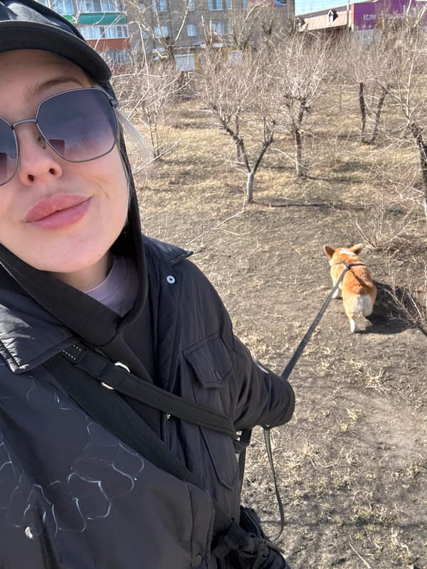 Person walks Corgi dog on sunny day in Borzya