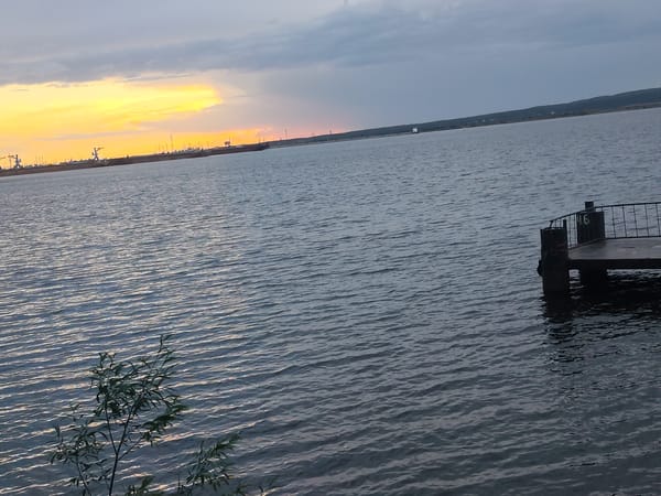 Aged pier with number 16 documented at waterfront location