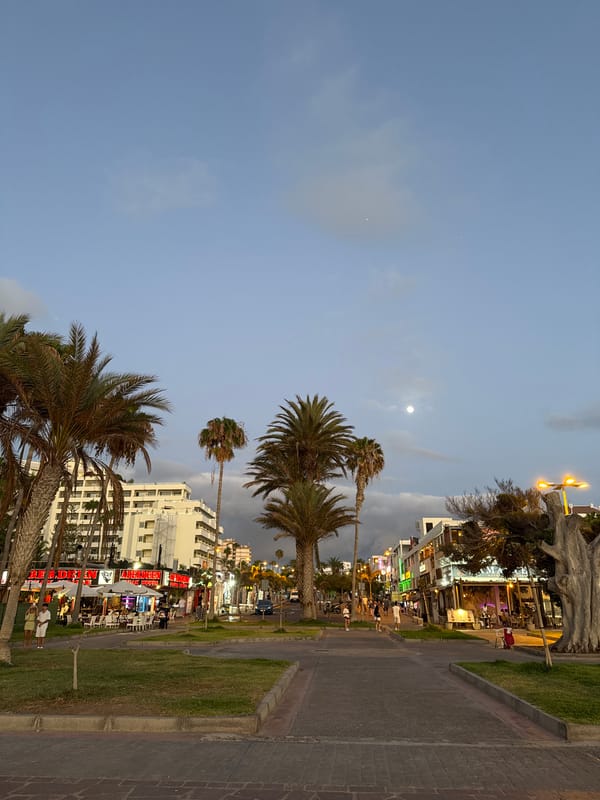 Dusk settles over Arona's coast and palm-lined streets