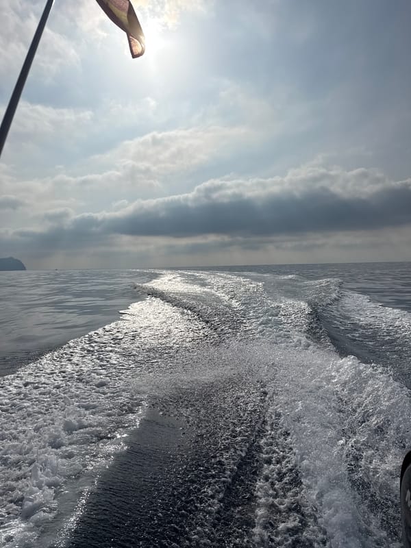 Out on the water off Águilas, castle on the hill